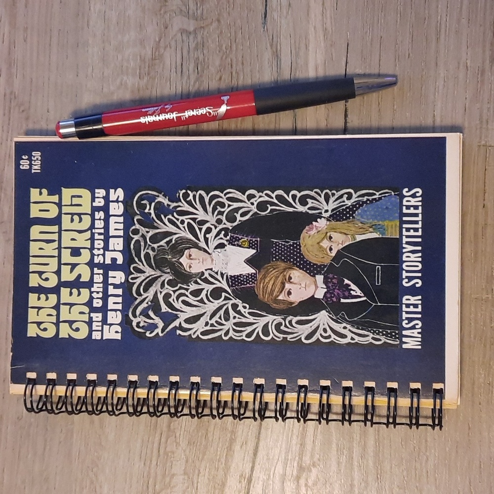 Secret Journal " The Turn of the Screw" 📚 Handmade journal  from an old book